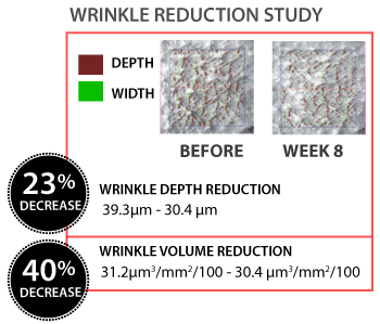 Wrinnkle Reduction Study COllagen