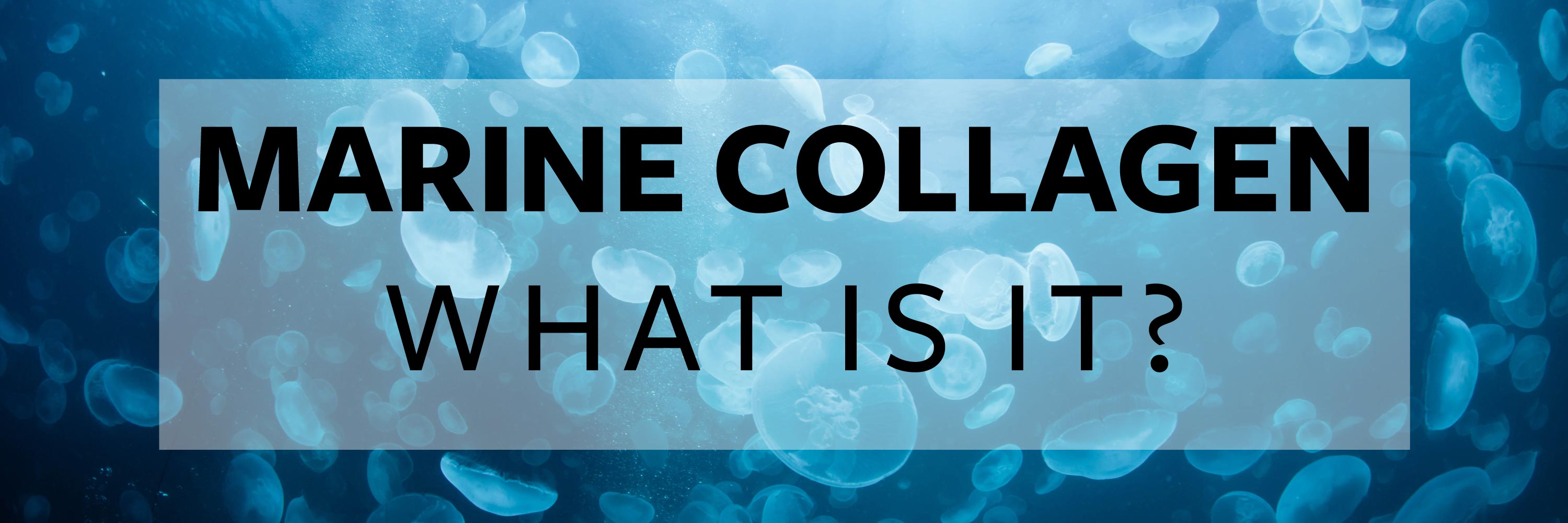 Marine Collagen Guide